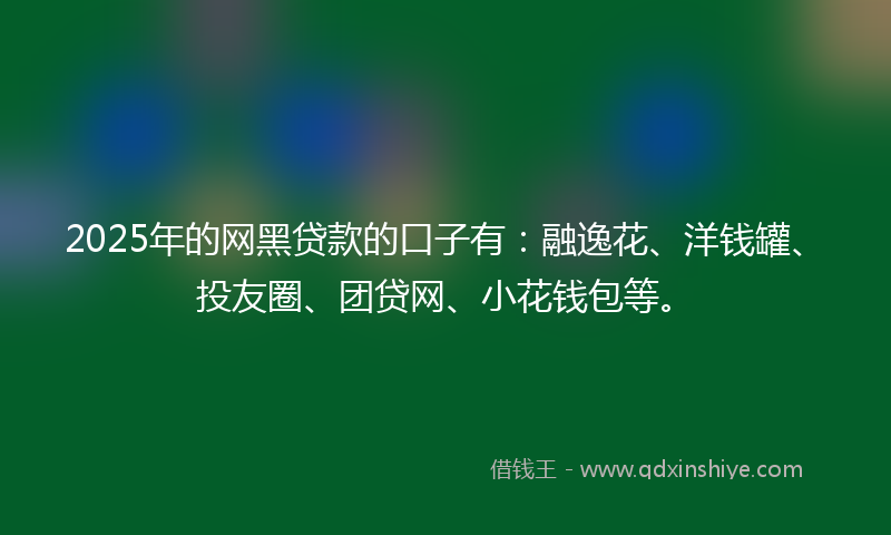 2025年的网黑贷款的口子有：融逸花、洋钱罐、投友圈、团贷网、小花钱包等。