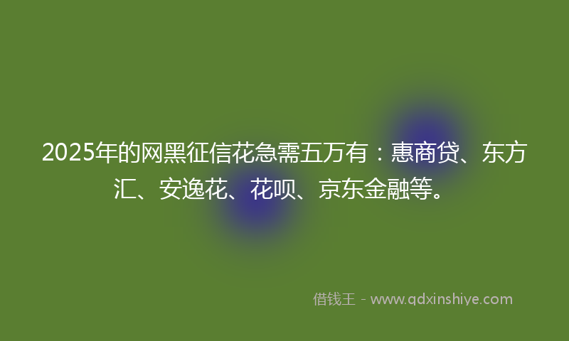 2025年的网黑征信花急需五万有：惠商贷、东方汇、安逸花、花呗、京东金融等。