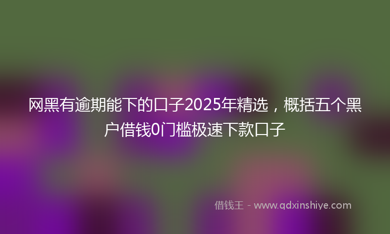 网黑有逾期能下的口子2025年精选，概括五个黑户借钱0门槛极速下款口子