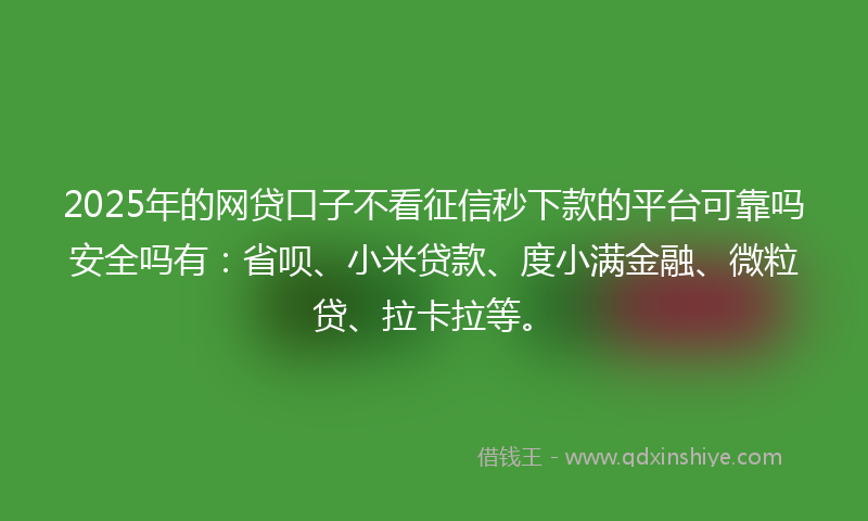 2025年的网贷口子不看征信秒下款的平台可靠吗安全吗有：省呗、小米贷款、度小满金融、微粒贷、拉卡拉等。