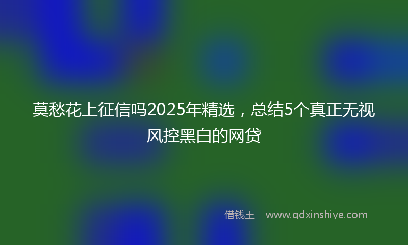 莫愁花上征信吗2025年精选，总结5个真正无视风控黑白的网贷