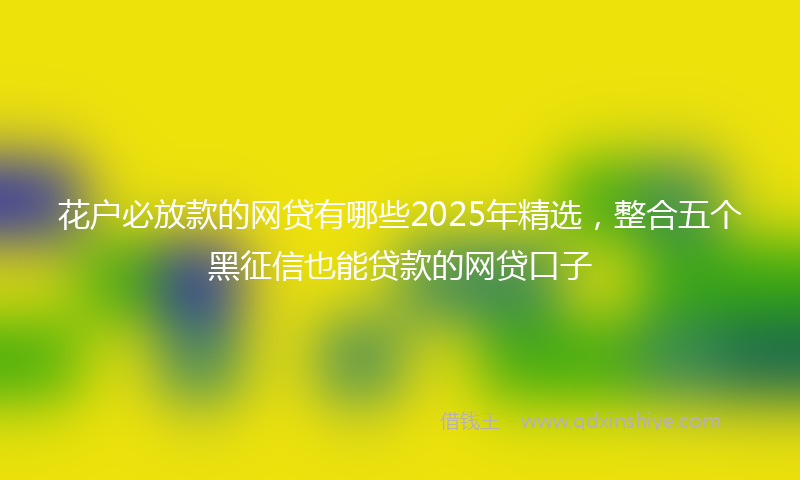花户必放款的网贷有哪些2025年精选，整合五个黑征信也能贷款的网贷口子