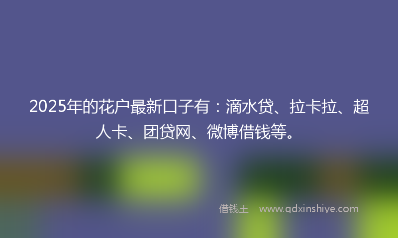 2025年的花户最新口子有:滴水贷、拉卡拉、超人卡、团贷网、微博借钱等。