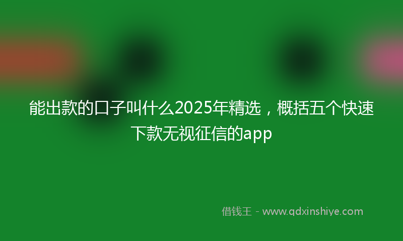 能出款的口子叫什么2025年精选，概括五个快速下款无视征信的app