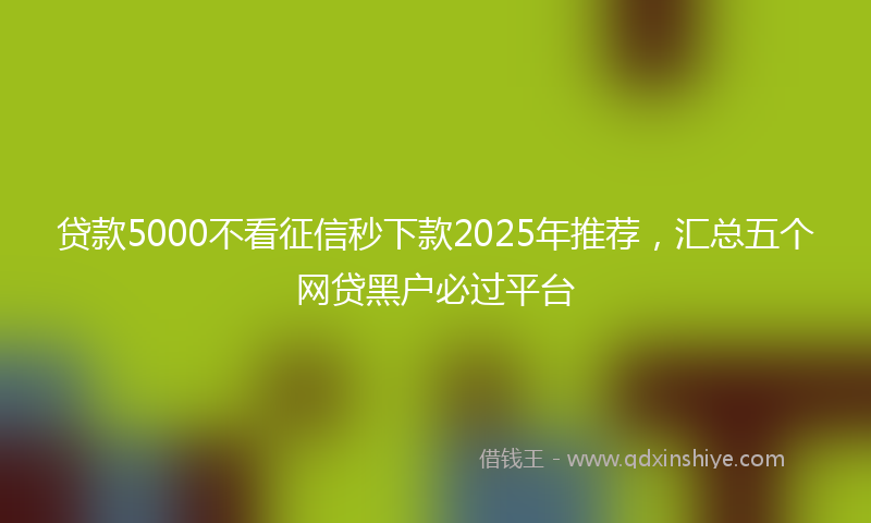 贷款5000不看征信秒下款2025年推荐，汇总五个网贷黑户必过平台
