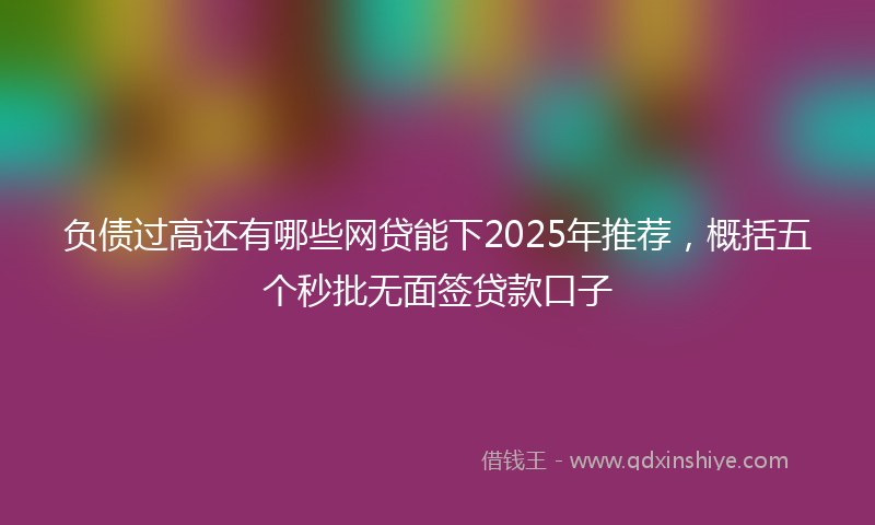 负债过高还有哪些网贷能下2025年推荐，概括五个秒批无面签贷款口子