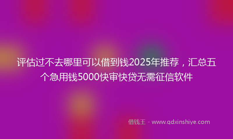 评估过不去哪里可以借到钱2025年推荐，汇总五个急用钱5000快审快贷无需征信软件