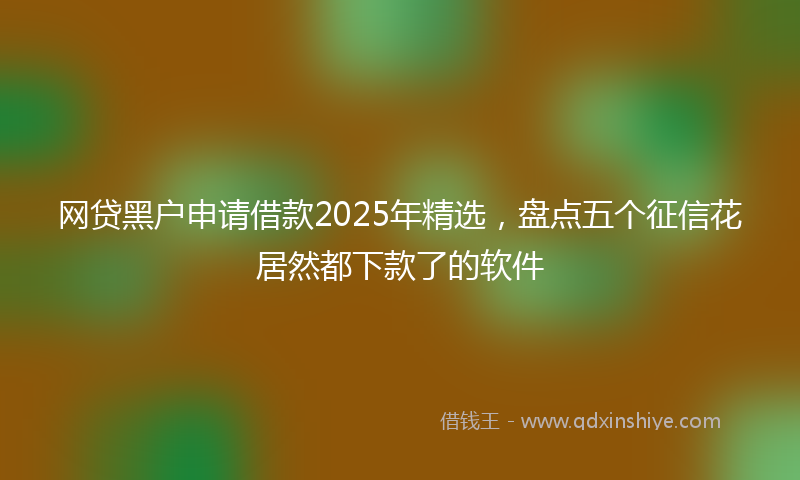 网贷黑户申请借款2025年精选，盘点五个征信花居然都下款了的软件