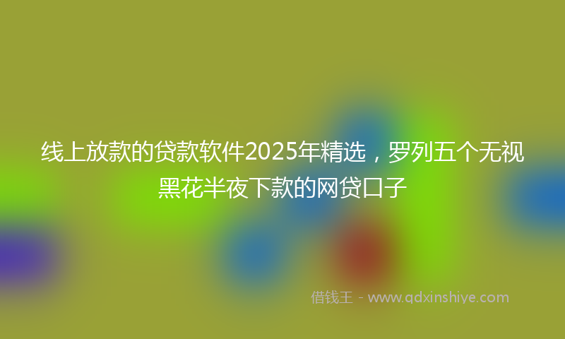 线上放款的贷款软件2025年精选，罗列五个无视黑花半夜下款的网贷口子