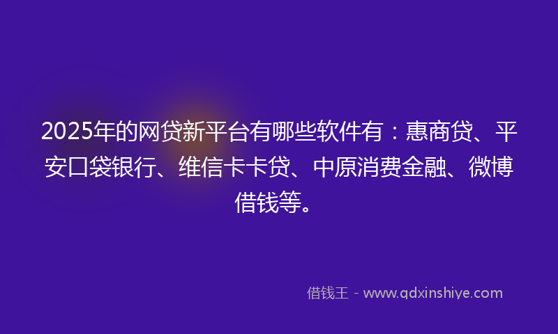 2025年的网贷新平台有哪些软件有：惠商贷、平安口袋银行、维信卡卡贷、中原消费金融、微博借钱等。