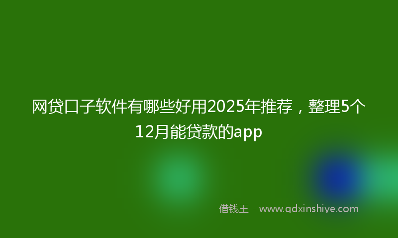 网贷口子软件有哪些好用2025年推荐，整理5个12月能贷款的app