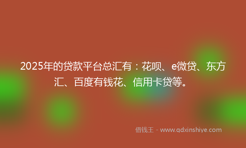 2025年的贷款平台总汇有：花呗、e微贷、东方汇、百度有钱花、信用卡贷等。