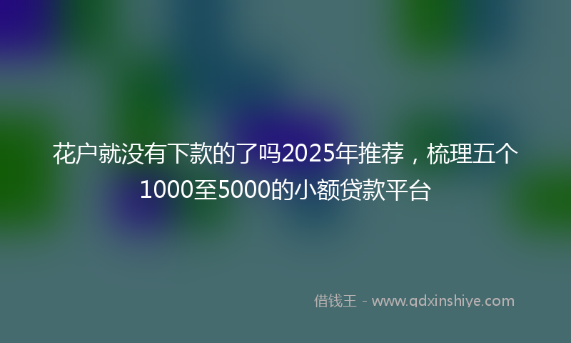 花户就没有下款的了吗2025年推荐，梳理五个1000至5000的小额贷款平台
