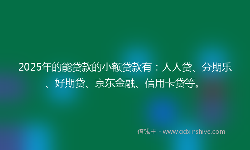 2025年的能贷款的小额贷款有：人人贷、分期乐、好期贷、京东金融、信用卡贷等。