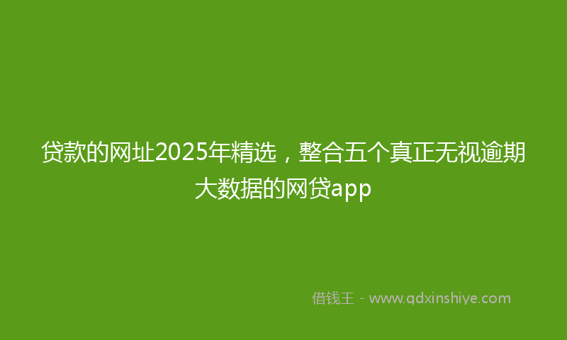 贷款的网址2025年精选，整合五个真正无视逾期大数据的网贷app
