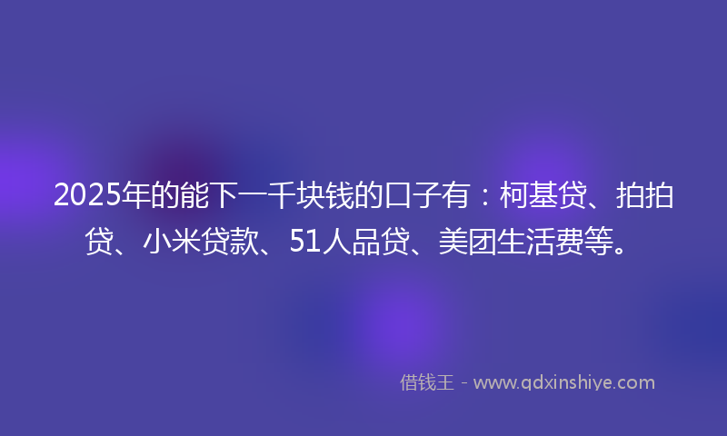 2025年的能下一千块钱的口子有：柯基贷、拍拍贷、小米贷款、51人品贷、美团生活费等。