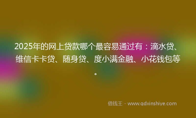 2025年的网上贷款哪个最容易通过有：滴水贷、维信卡卡贷、随身贷、度小满金融、小花钱包等。