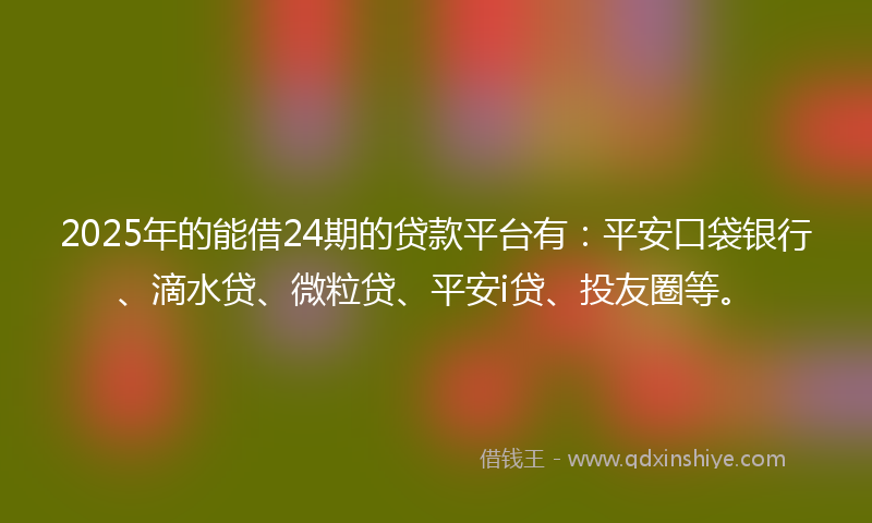 2025年的能借24期的贷款平台有：平安口袋银行、滴水贷、微粒贷、平安i贷、投友圈等。