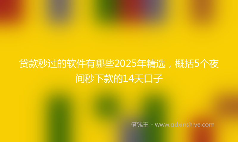 贷款秒过的软件有哪些2025年精选，概括5个夜间秒下款的14天口子