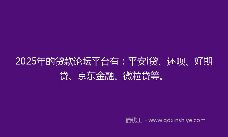 2025年的贷款论坛平台有：平安i贷、还呗、好期贷、京东金融、微粒贷等。