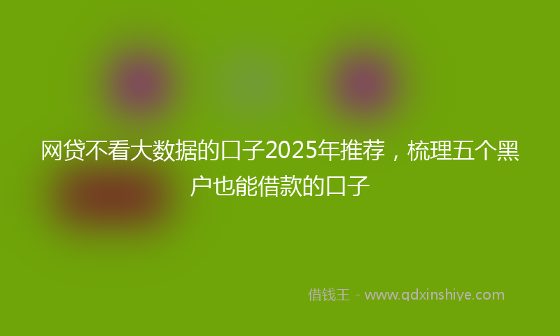 网贷不看大数据的口子2025年推荐，梳理五个黑户也能借款的口子