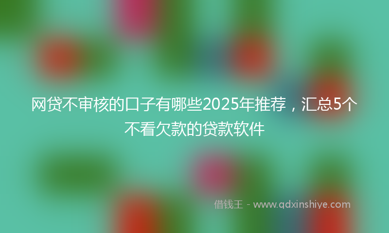 网贷不审核的口子有哪些2025年推荐，汇总5个不看欠款的贷款软件