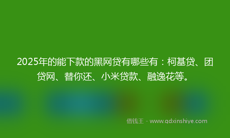 2025年的能下款的黑网贷有哪些有：柯基贷、团贷网、替你还、小米贷款、融逸花等。