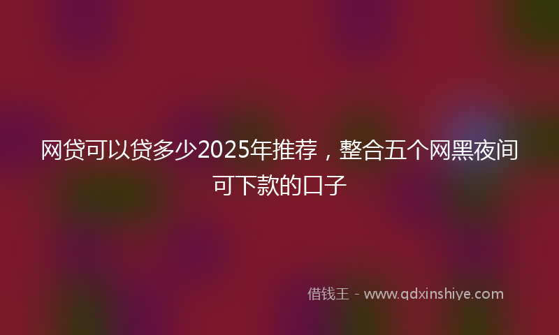 网贷可以贷多少2025年推荐，整合五个网黑夜间可下款的口子