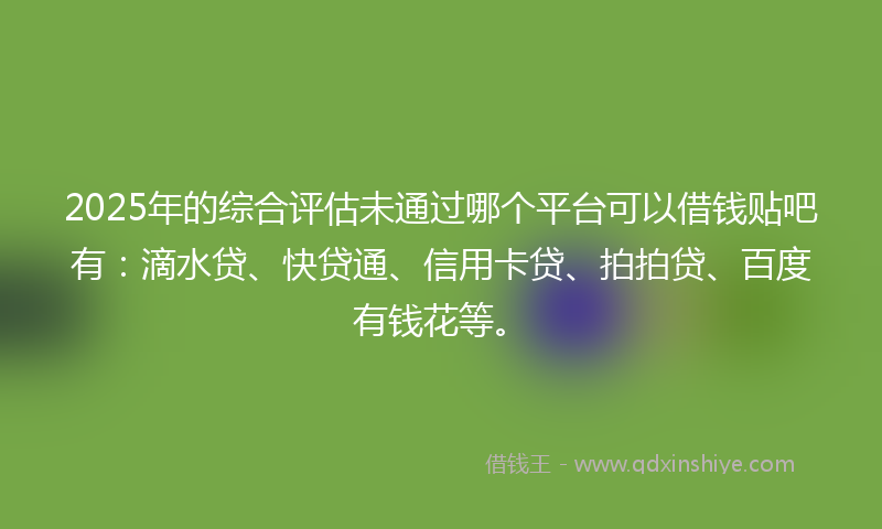 2025年的综合评估未通过哪个平台可以借钱贴吧有：滴水贷、快贷通、信用卡贷、拍拍贷、百度有钱花等。