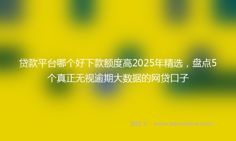 贷款平台哪个好下款额度高2025年精选，盘点5个真正无视逾期大数据的网贷口子