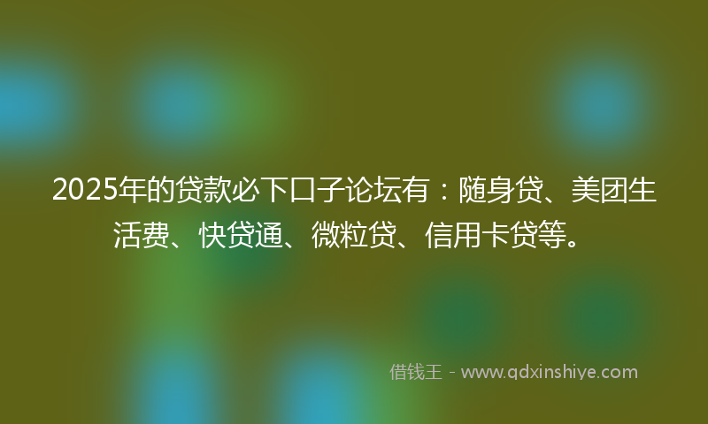 2025年的贷款必下口子论坛有：随身贷、美团生活费、快贷通、微粒贷、信用卡贷等。