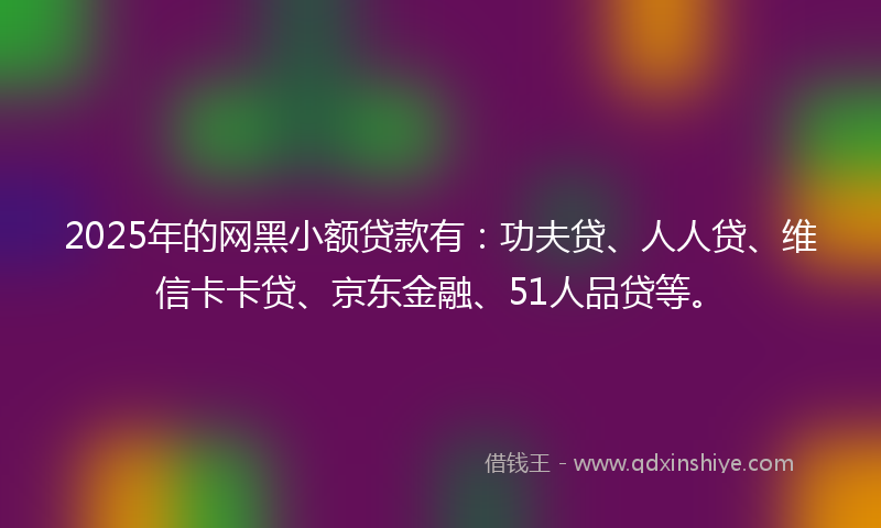 2025年的网黑小额贷款有：功夫贷、人人贷、维信卡卡贷、京东金融、51人品贷等。