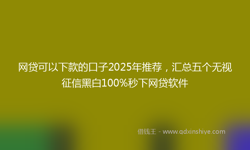 网贷可以下款的口子2025年推荐，汇总五个无视征信黑白100%秒下网贷软件