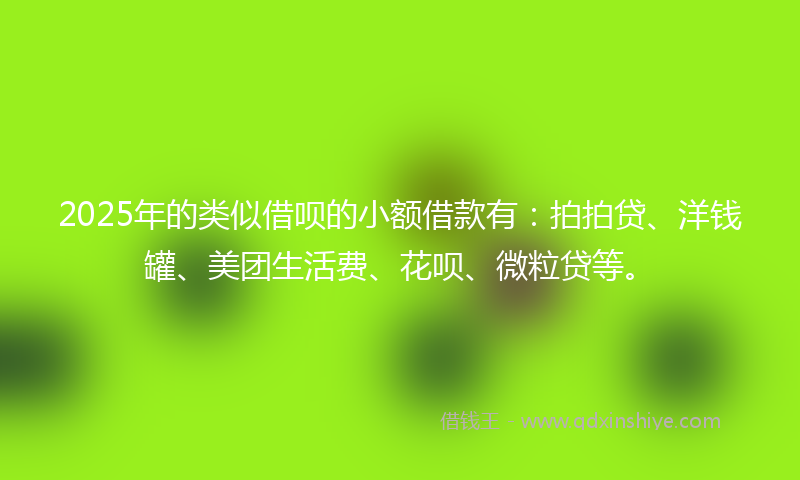 2025年的类似借呗的小额借款有：拍拍贷、洋钱罐、美团生活费、花呗、微粒贷等。