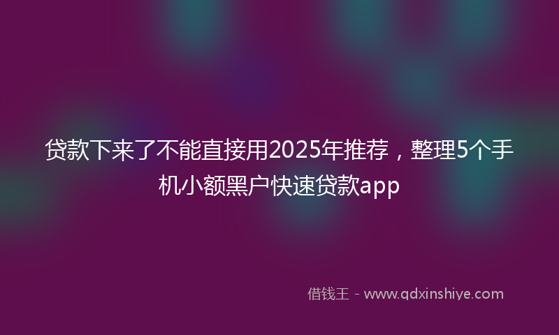 贷款下来了不能直接用2025年推荐，整理5个手机小额黑户快速贷款app