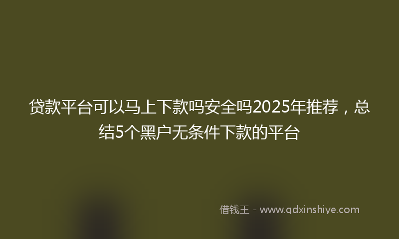 贷款平台可以马上下款吗安全吗2025年推荐，总结5个黑户无条件下款的平台