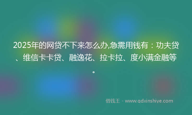 2025年的网贷不下来怎么办,急需用钱有：功夫贷、维信卡卡贷、融逸花、拉卡拉、度小满金融等。