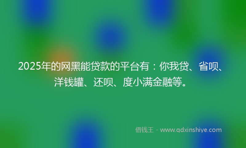 2025年的网黑能贷款的平台有：你我贷、省呗、洋钱罐、还呗、度小满金融等。