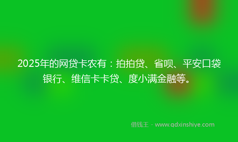 2025年的网贷卡农有：拍拍贷、省呗、平安口袋银行、维信卡卡贷、度小满金融等。