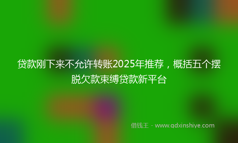 贷款刚下来不允许转账2025年推荐，概括五个摆脱欠款束缚贷款新平台
