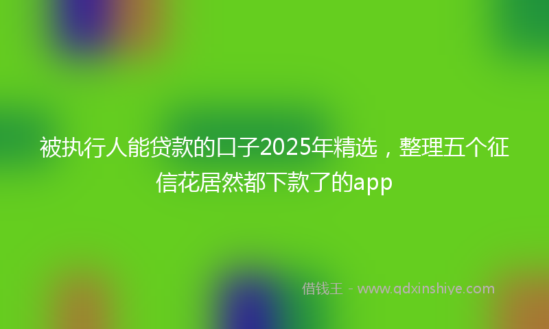被执行人能贷款的口子2025年精选，整理五个征信花居然都下款了的app