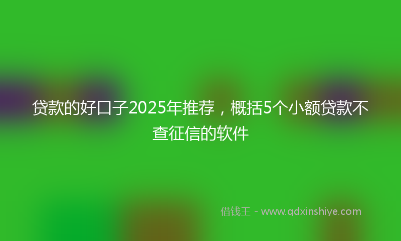 贷款的好口子2025年推荐，概括5个小额贷款不查征信的软件