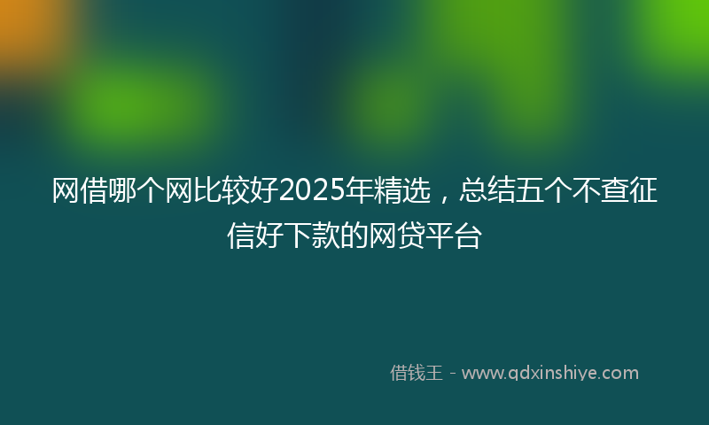 网借哪个网比较好2025年精选，总结五个不查征信好下款的网贷平台