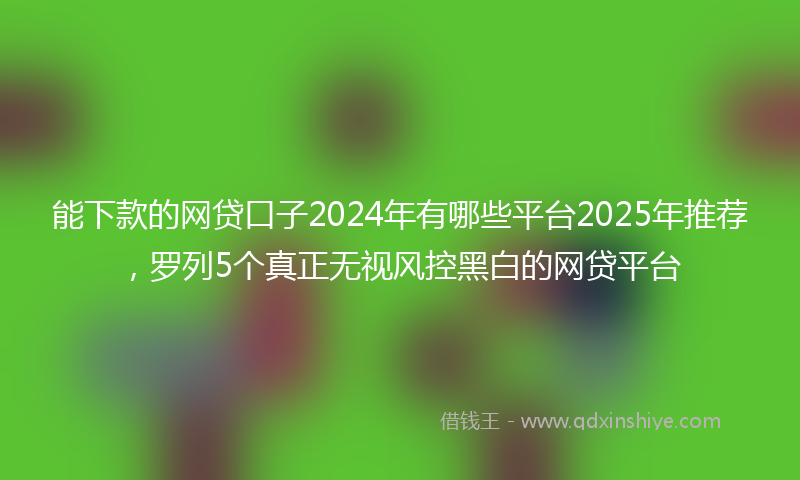 能下款的网贷口子2024年有哪些平台2025年推荐，罗列5个真正无视风控黑白的网贷平台