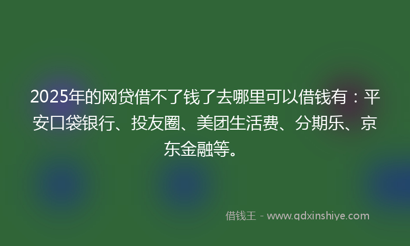 2025年的网贷借不了钱了去哪里可以借钱有：平安口袋银行、投友圈、美团生活费、分期乐、京东金融等。