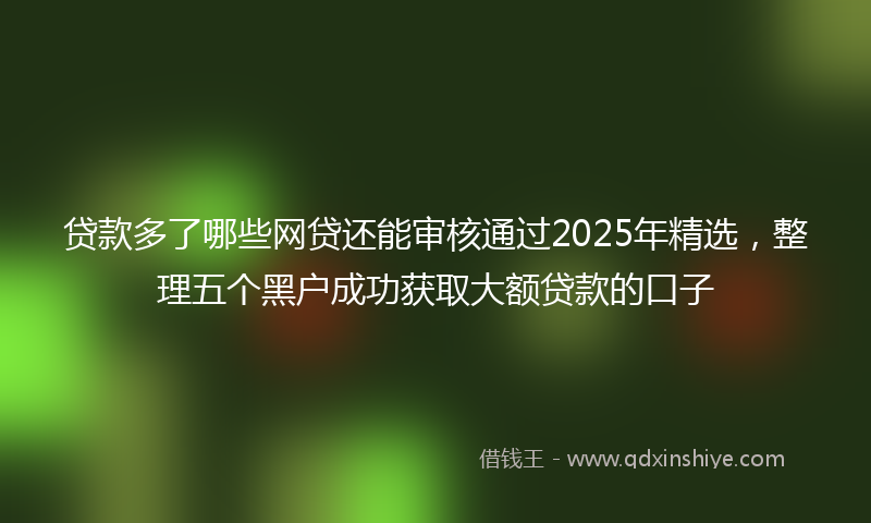 贷款多了哪些网贷还能审核通过2025年精选，整理五个黑户成功获取大额贷款的口子