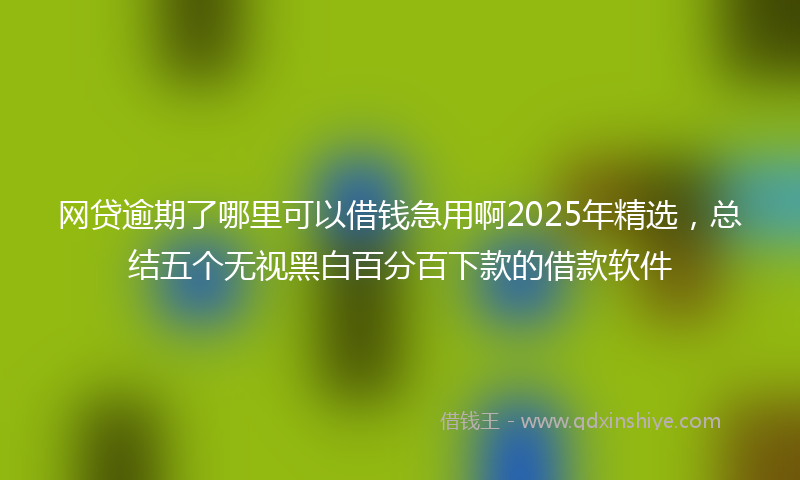 网贷逾期了哪里可以借钱急用啊2025年精选，总结五个无视黑白百分百下款的借款软件
