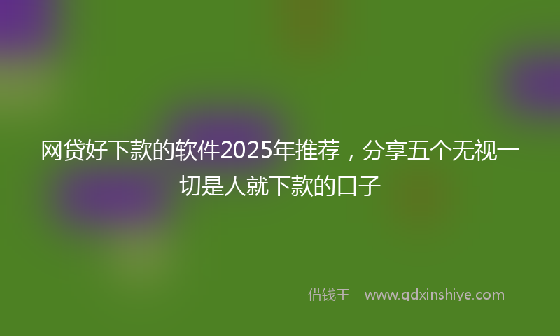 网贷好下款的软件2025年推荐，分享五个无视一切是人就下款的口子
