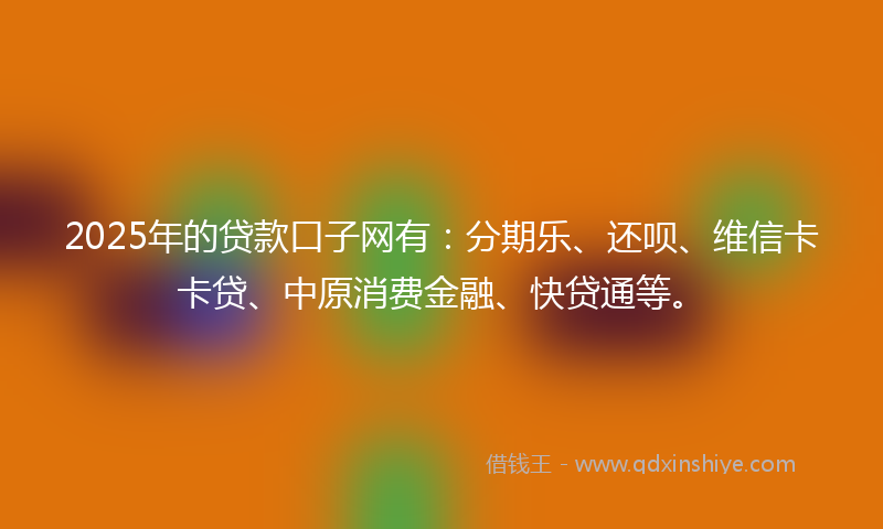 2025年的贷款口子网有：分期乐、还呗、维信卡卡贷、中原消费金融、快贷通等。