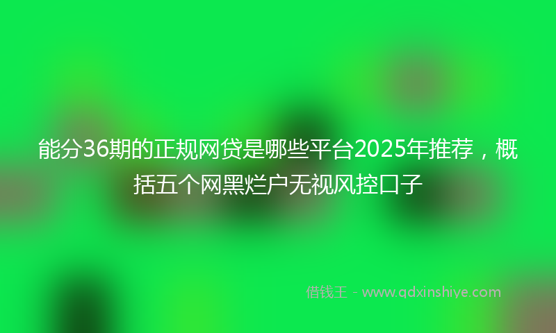 能分36期的正规网贷是哪些平台2025年推荐，概括五个网黑烂户无视风控口子